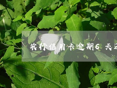农行信用卡逾期6天还款 农行信用卡逾期6天还款