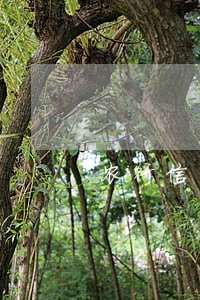 农行信用卡逾期7万多