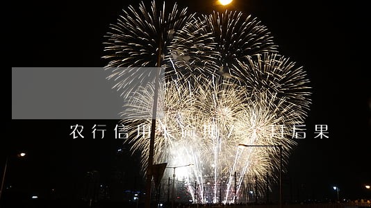 农行信用卡逾期7个月后果 农行信用卡逾期7个月后果