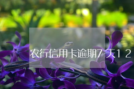 农行信用卡逾期7天1200