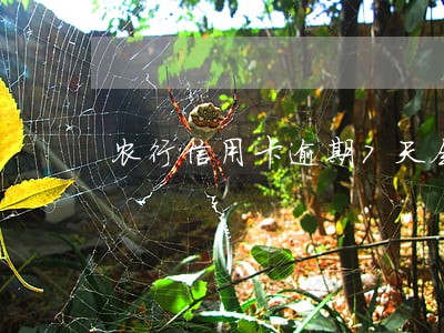 农行信用卡逾期7天会上征信
