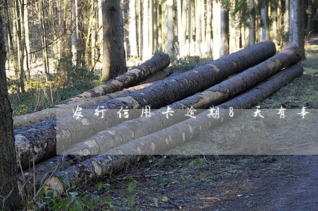 农行信用卡逾期8天有事吗 农行信用卡逾期8天有事吗