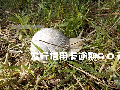 农行信用卡逾期90天内