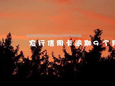 农行信用卡逾期9个月坏账核销