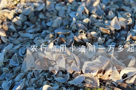 农行信用卡逾期一万多起诉吗 农行信用卡逾期一万多起诉吗