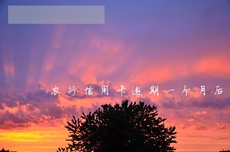 农行信用卡逾期一个月后果 农行信用卡逾期一个月后果