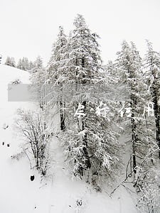 农行信用卡逾期一周会怎样 农行信用卡逾期一周会怎样
