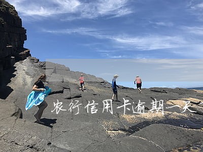 农行信用卡逾期一天了 农行信用卡逾期一天了