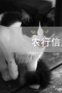 农行信用卡逾期一天会怎样