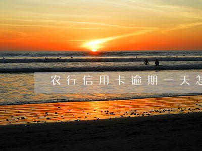 农行信用卡逾期一天怎么办 农行信用卡逾期一天怎么办