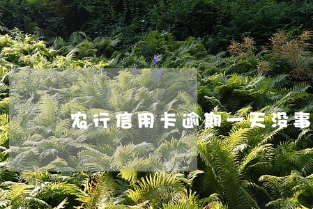 农行信用卡逾期一天没事 农行信用卡逾期一天没事