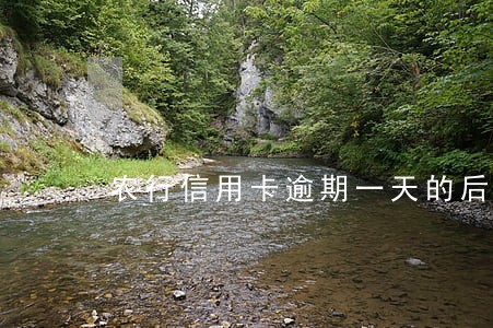 农行信用卡逾期一天的后果