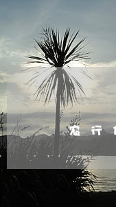 农行信用卡逾期一天还款后果 农行信用卡逾期一天还款后果