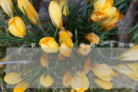 农行信用卡逾期一小时会怎样 农行信用卡逾期一小时会怎样