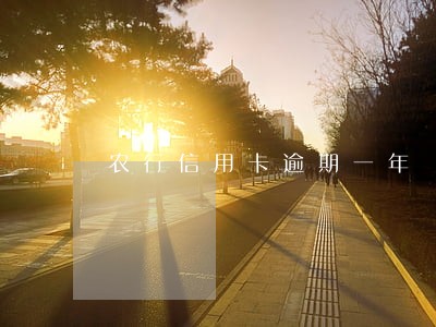农行信用卡逾期一年 农行信用卡逾期一年