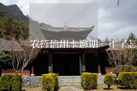 农行信用卡逾期一年了怎么办