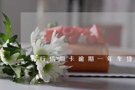 农行信用卡逾期一年车贷能批吗 农行信用卡逾期一年车贷能批吗