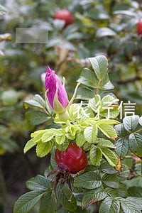 农行信用卡逾期一月严重吗 农行信用卡逾期一月严重吗