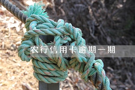农行信用卡逾期一期 农行信用卡逾期一期