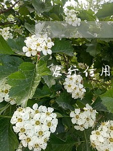 农行信用卡逾期一次6 农行信用卡逾期一次6