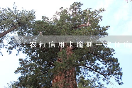 农行信用卡逾期一次征信会怎么样 农行信用卡逾期一次征信会怎么样