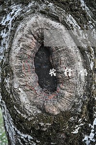农行信用卡逾期一次有多大影响 农行信用卡逾期一次有多大影响