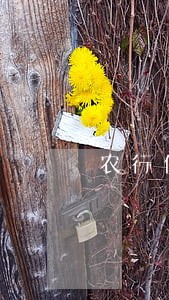 农行信用卡逾期一次被降额冻结 农行信用卡逾期一次被降额冻结