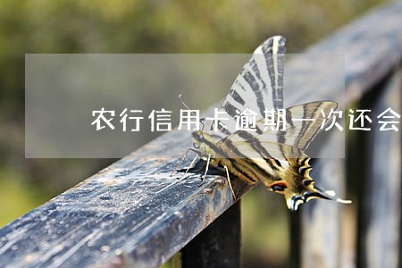农行信用卡逾期一次还会提额吗
