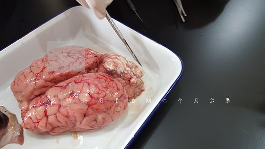 农行信用卡逾期七个月后果
