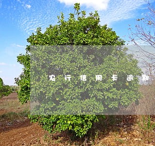 农行信用卡逾期三个月上门协商