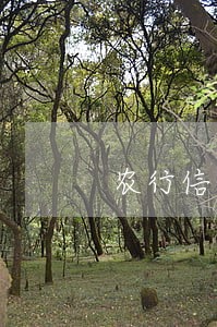 农行信用卡逾期三个月怎么协商