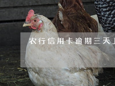 农行信用卡逾期三天上不上征信 农行信用卡逾期三天上不上征信