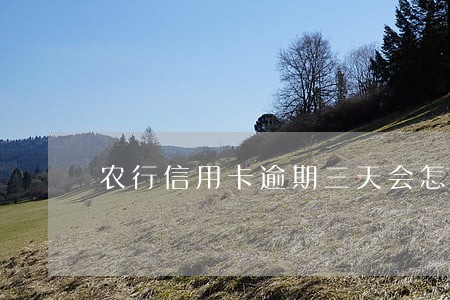 农行信用卡逾期三天会怎么样 农行信用卡逾期三天会怎么样