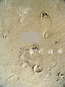 农行信用卡逾期三天还了