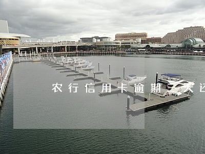 农行信用卡逾期三天还款期限 农行信用卡逾期三天还款期限