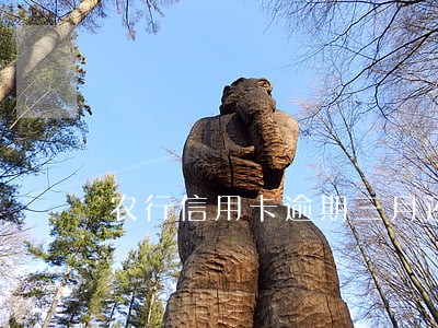 农行信用卡逾期三月还上可以用吗 农行信用卡逾期三月还上可以用吗