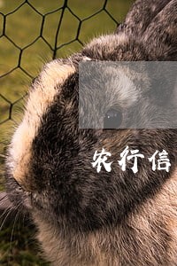农行信用卡逾期三期封卡了 农行信用卡逾期三期封卡了