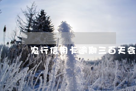 农行信用卡逾期三百天会怎么样