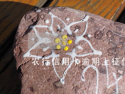 农行信用卡逾期上征信怎么办 农行信用卡逾期上征信怎么办