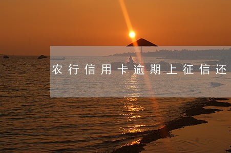 农行信用卡逾期上征信还清销卡 农行信用卡逾期上征信还清销卡