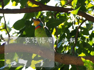 农行信用卡逾期不打联系人