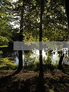 农行信用卡逾期不超过一万 农行信用卡逾期不超过一万