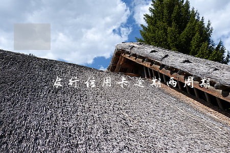 农行信用卡逾期两周期