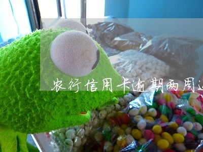 农行信用卡逾期两周还上还能用吗
