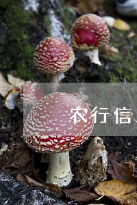 农行信用卡逾期两年办理分期 农行信用卡逾期两年办理分期