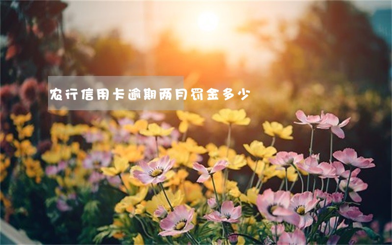 农行信用卡逾期两月罚金多少 农行信用卡逾期两月罚金多少