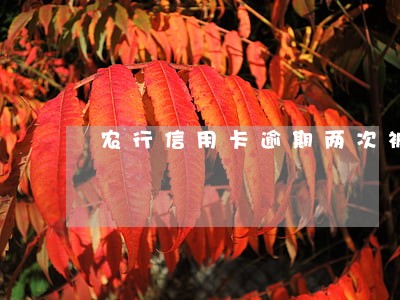 农行信用卡逾期两次被冻结