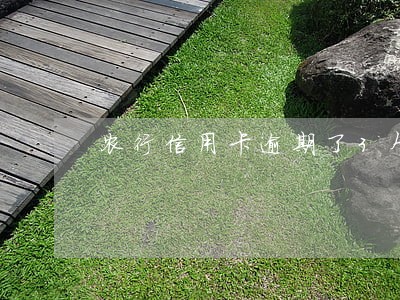 农行信用卡逾期了3个月