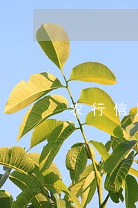 农行信用卡逾期了4个月