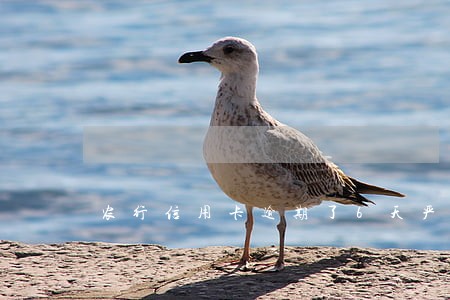 农行信用卡逾期了6天严重吗